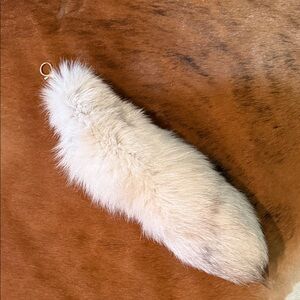 Fox Tail